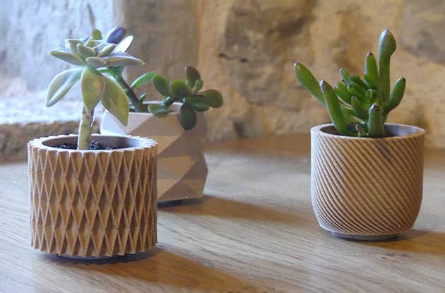 Décoration végétale