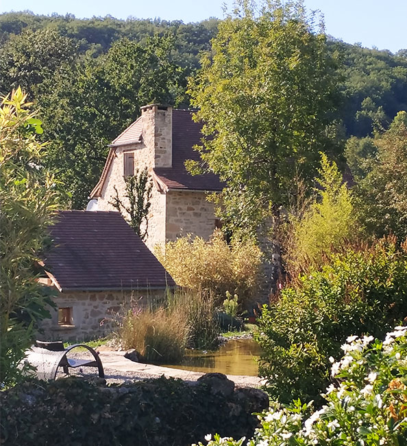piscine paysage