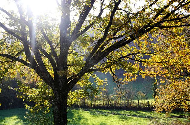 des chambres d'hotes &agrave; la campagne