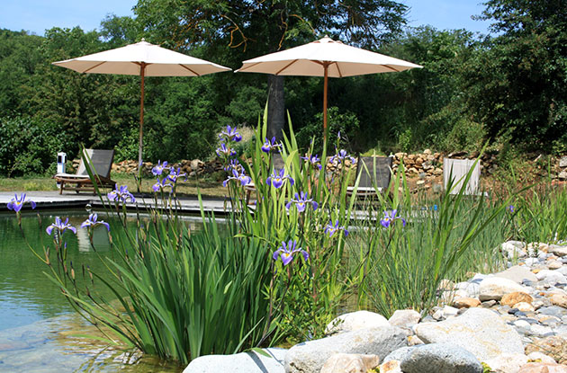 Piscine naturelle au milieu des v&eacute;g&eacute;taux