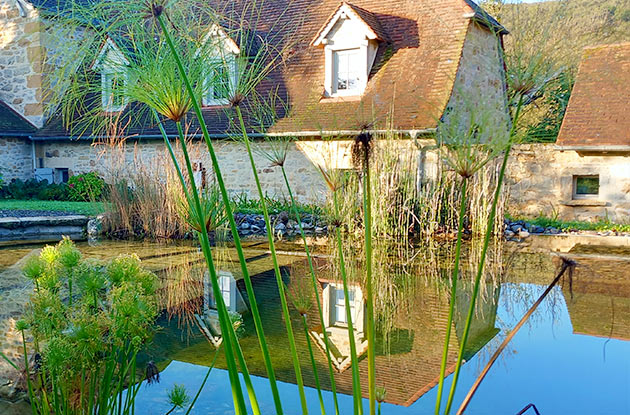 Piscine naturelle au milieu des v&eacute;g&eacute;taux