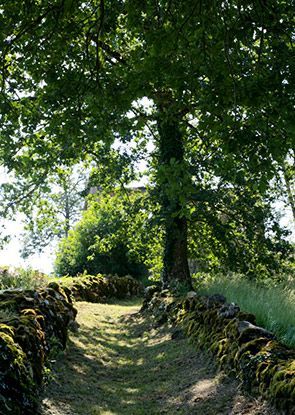 balades et randonn&eacute;es