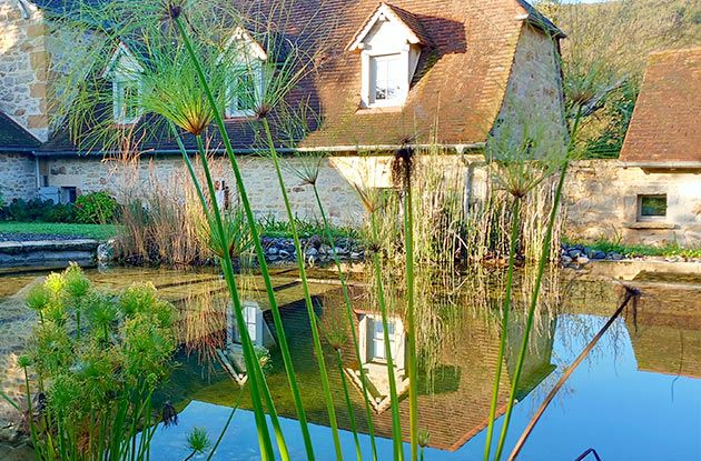 Piscine naturelle au milieu des végétaux